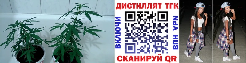 Дистиллят ТГК Wax  купить   Кудымкар 
