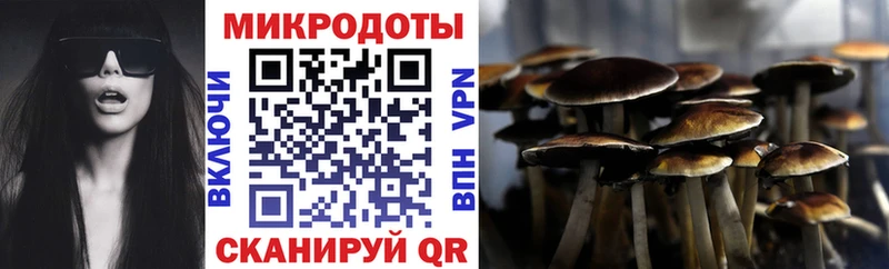 купить  сайты  Кудымкар  Галлюциногенные грибы прущие грибы 