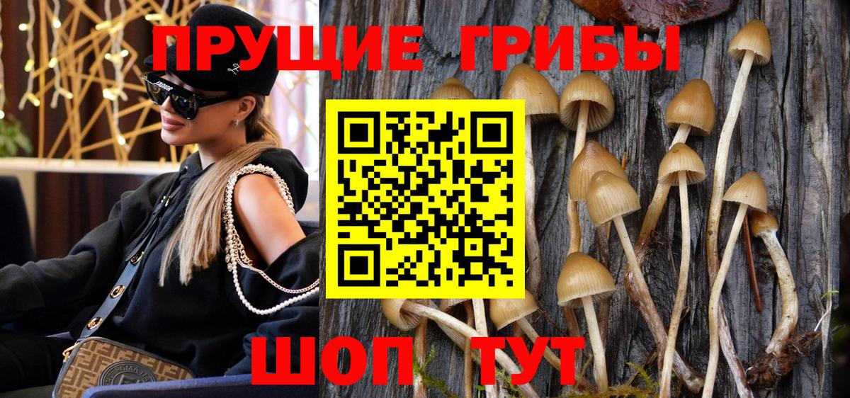 МЕФ кристаллы  ГАШИШ  Кудымкар  Вход с VPN  MDMA  Марихуана  КОКАИН 