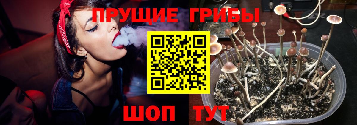 где найти наркотики  Псилоцибиновые грибы мицелий  Вход с VPN  Галлюциногенные грибы ЛСД  Кудымкар 